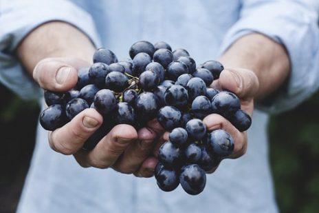 ガンになりにくい食品とは？長生きするために
