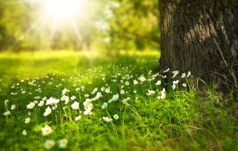 数秘術で知る、あなたの生きる道！才能や能力とは？ライフパスナンバー【11】【22】の方
