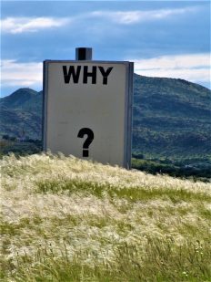 運命の人を占えば婚期が近づく？