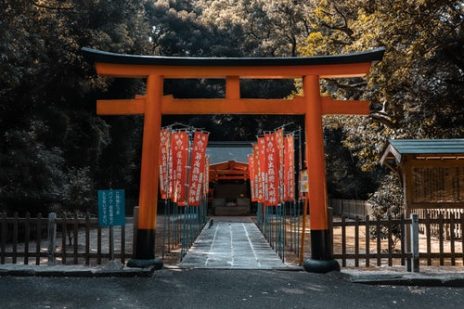有名芸能人ほど占いに頼る理由を知っていますか？