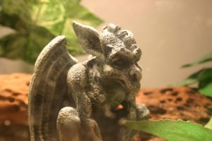 夢占い－悪魔の夢は何を意味するのか？