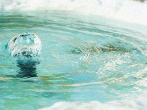 【簡単】レイキ水を使って生活に浄化を！