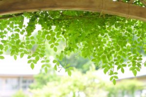不安解消！誰でもできるレイキを使ったセルフヒーリング方法