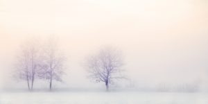 夢占い－雪の夢は何を意味するのか？