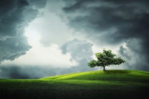 夢占い－雲の夢は何を意味するのか？