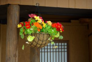 夢占い－故郷の夢は何を意味するのか？