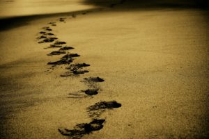 夢占い－埋める夢は何を意味するのか？
