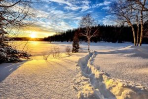 冬にちなんだ夢占い「雪」の夢はどんな意味？