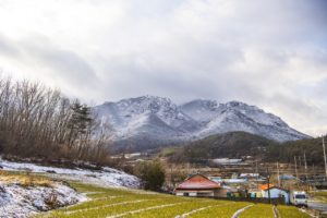 夢占い－故郷の夢は何を意味するのか？