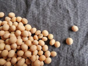 節分を楽しむための由来と雑学を紹介！
