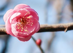 2021年の節分・立春はデトックス＆結界力を高める！124年ぶりのスペシャルdays【2月2日・3日】