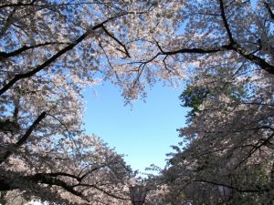 【4月8日】花祭りの3つの過ごし方【灌仏会】
