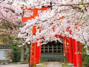 神様とご縁をつなぐ！春の社日のスピリチュアル的3つの過ごし方【2021年は3月21日】