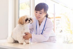 【レイキ】セルフヒーリングで体質改善！花粉症にも