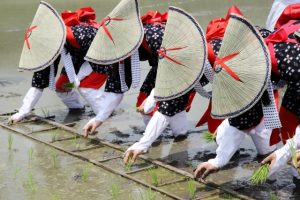 端午の節句は女性が主役だった？由来や開運アクションも【5月5日】