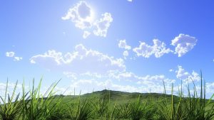 エンジェルナンバー「18」の意味とは？天使はあなたに何を告げようとしているのか？