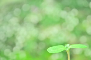 2021年5月26日はスーパームーン＆皆既月食！満月パワーでデトックス＋金運アップ！