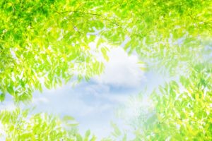 【レイキ】セルフヒーリングで体質改善！花粉症にも