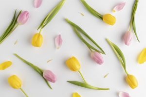 母の日にピッタリなプレゼントと花言葉3選！