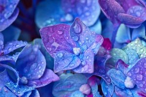 爽やかな人の特徴とモテる理由は？爽やかな人が多い星座も解説