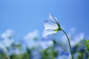 気を遣いすぎて疲れる繊細な人にピッタリのレイキヒーリング方法