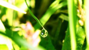 気を遣いすぎて疲れる繊細な人にピッタリのレイキヒーリング方法