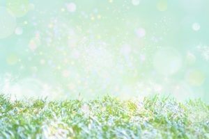 グラウンディング足りてる？セルフチェックとグラウンディングの方法
