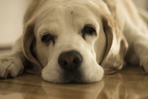 毎日がつまらないは「新しいことを始める」で解決できるワケ