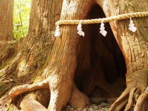 【2021年下半期?】10～12月生まれの人の運勢は？