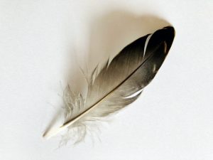 【2021年下半期?】4～6月生まれの人の運勢は？