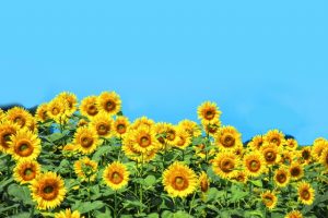 心機一転！衣替えで運気アップするための5つのポイント