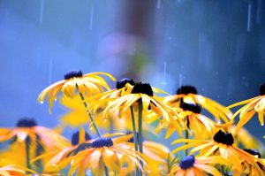 てるてる坊主の由来って知ってる？てるてる坊主以外で晴れにしてくれるおまじない