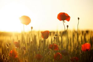 エンジェルナンバー「34」の意味とは？天使はあなたに何を告げようとしているのか？