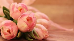 エンジェルナンバー「35」の意味とは？天使はあなたに何を告げようとしているのか？