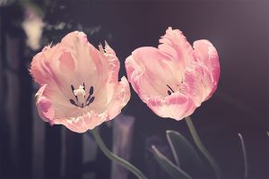 エンジェルナンバー「36」の意味とは？天使はあなたに何を告げようとしているのか？