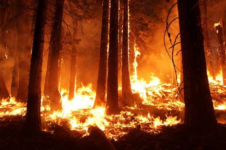 夢占いと火事