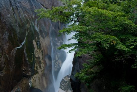 星座占いと相性