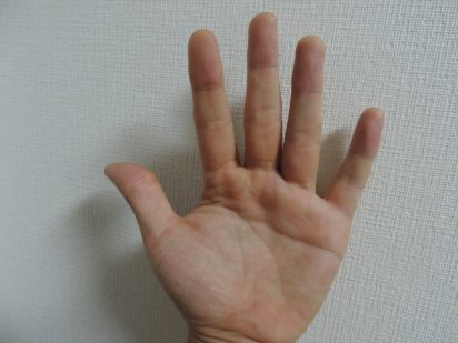 感情線