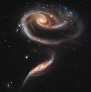スターシード