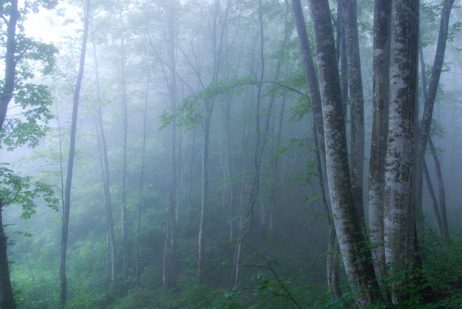「元カレと復縁したいのですが」ワンオラクル（一枚タロット）で観る運勢（３）
