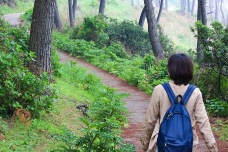 夢占い ? 山の夢は何を意味するのか？
