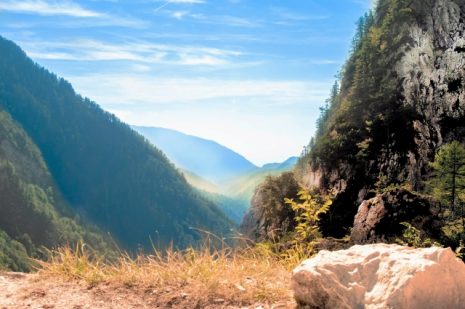 夢占い ? 山の夢は何を意味するのか？