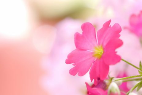 夢占い－鏡の夢は何を意味するのか？
