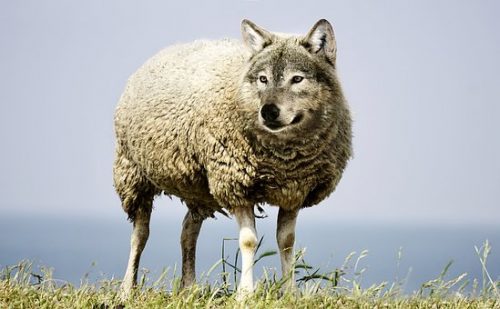 あなたは「ウソ」を見抜けますか？心理学からみた「ウソ」について