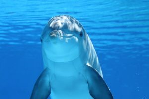 気分転換に最適！海や砂浜に遊びに行った時にできる願望成就のおまじない