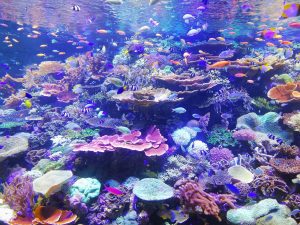 気分転換に最適！海や砂浜に遊びに行った時にできる願望成就のおまじない