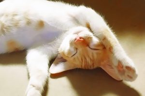 足のセルフケアで疲れ・コリ取り