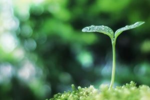 雨の日におすすめ！4つのヒーリング方法