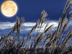 【2020年10月1日】中秋の名月のスピリチュアル的意味や過ごし方は？金運アップも！【十五夜】