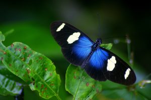 ホワイトデーに向けて！彼から告白される効果のある待受画像特集